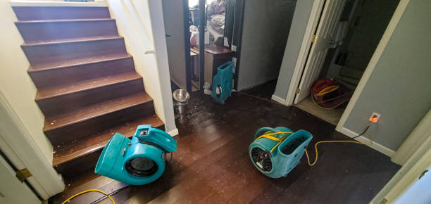 Best Sewage cleanup and water damage restoration  in Absecon, NJ