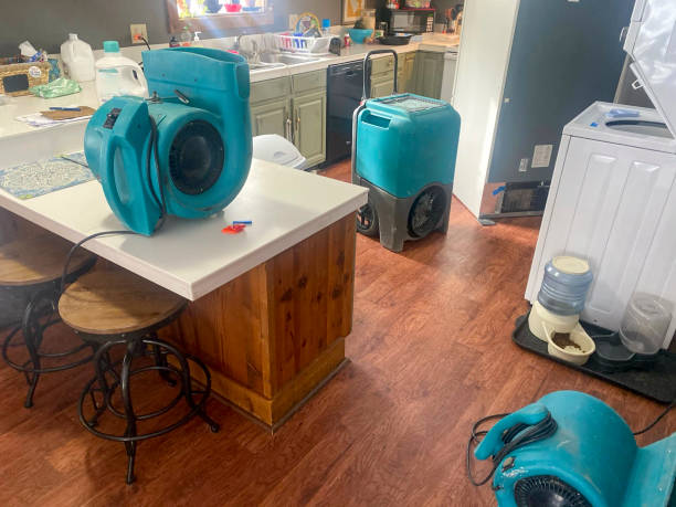 Best Local water damage restoration  in Absecon, NJ