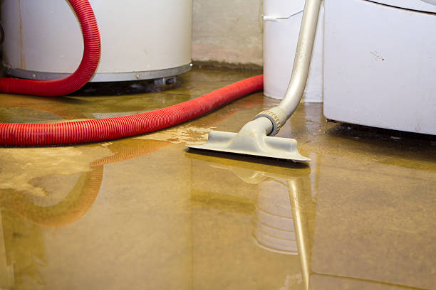 Best Ceiling water damage repair  in Absecon, NJ