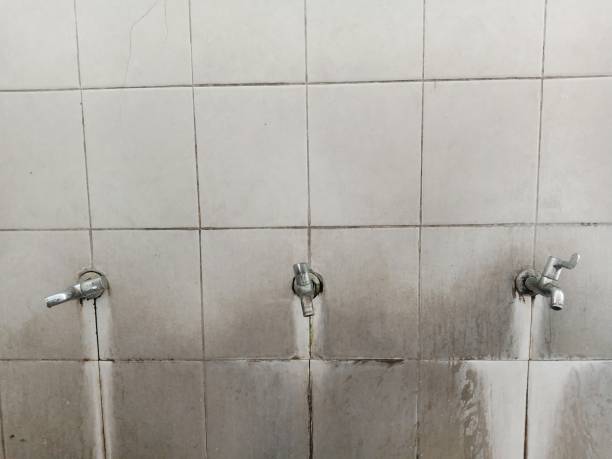 Best Water damage restoration near me  in Absecon, NJ