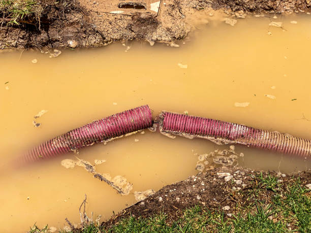 Best 24-hour water damage restoration  in Absecon, NJ